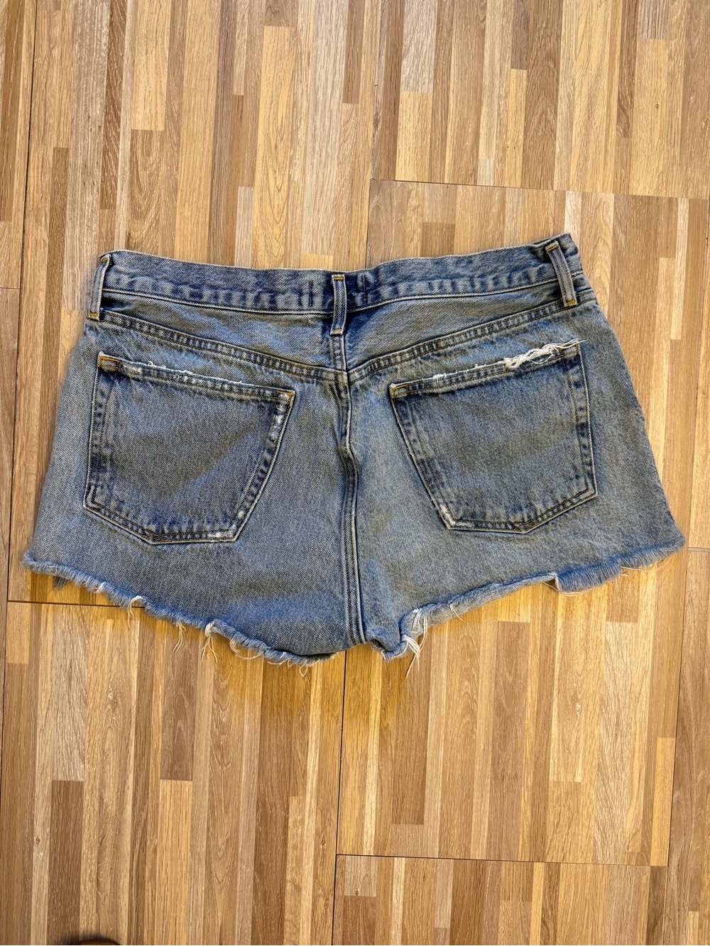 Agolde Parker Raw Hem Denim Shorts